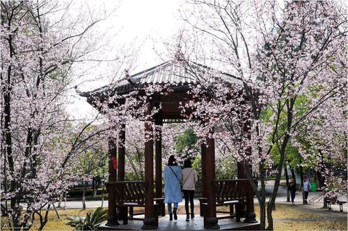 mmexport1520236894371