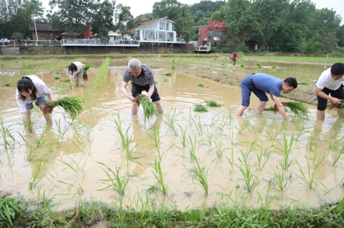 德赢ac米兰官方合作vwin积极推动大中小学“五育并举”一体化