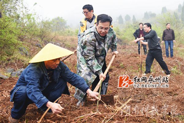 德赢ac米兰官方合作vwin党委书记陈弘与潮水铺村村支书一同种下金槐树苗