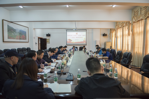 三全育人调研座谈会