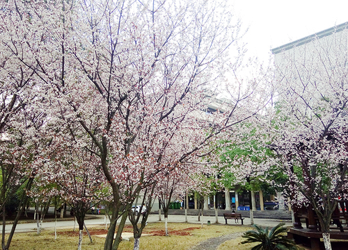 QQ图片20180304174143x